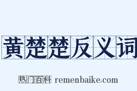 黄楚楚反义词是什么意思的图片